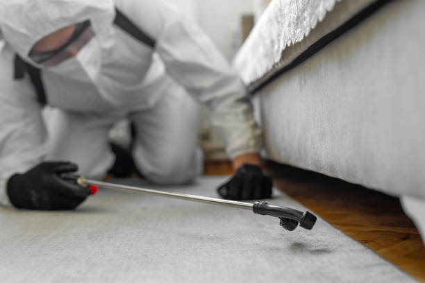 Professional Ant Control technician working in Siesta Acres, TX